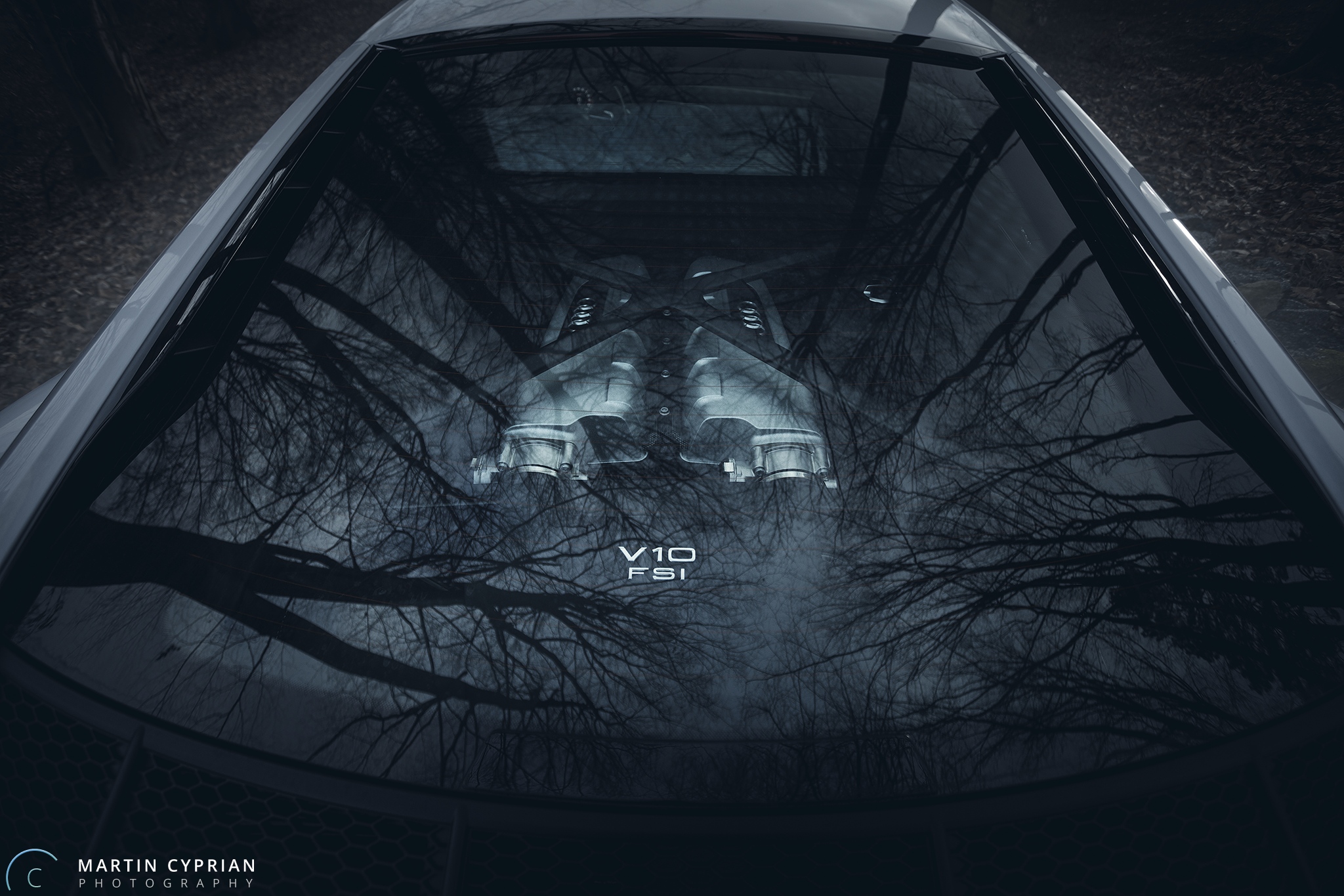 Audi R8 V10 Plus 2016 (8).jpg